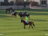 BIN DRAI – Andres Laplacette (Esp)