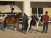 Al Habtoor Polo Club – Mohammed Al Habtoor