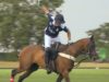 Julio Arellano on the Westchester Cup 2018