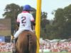 Ollie Cudmore on the Westchester Cup 2018