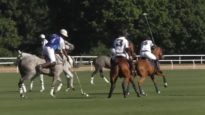 Polo News 09 English