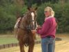 Benji Davis – Ham Polo Club