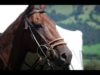 Hublot Polo Gold Cup Gstaad 2018