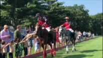 Polo News 11