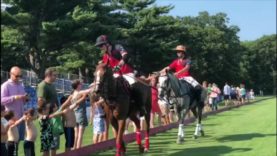 Polo News 11