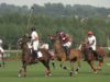 Polo News 11 (English)