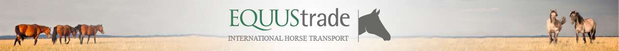 equus trade