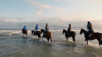 Deauville Polo Season 2018 Special Show – Part 2