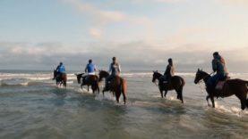 Deauville Polo Season 2018 Special Show – Part 2