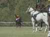 FIP European Championship – Highlights 4