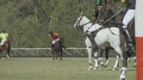 FIP European Championship – Highlights 4