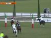 Highlights FIP Dia 1
