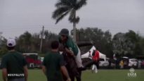 USPA Joe Barry Cup 2018 – Final
