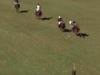 Polo News 22 (Español)