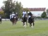 Polo News 23 (English)
