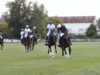 Polo News 23 (Español)