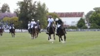 Polo News 23 (Español)