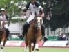 Polo News 26 (English)