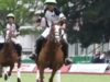Polo News 26 (Español)
