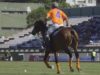 Santi Toccalino – Argentine Open 2018