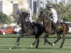 DAY 5 – 2nd Match_ Justo Cuitino_Hugo Lewis