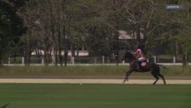 B. Grimm Thai Polo Masters – Thai Polo vs The Next Level