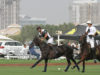 laplacette-tommyberesford