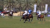 Polo News 31