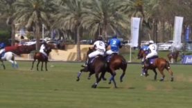 Polo News 31