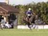 Polo News 35