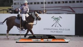 Polo News 38
