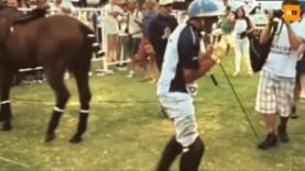 Polo News 39