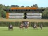 Chester Polo vs Clarita – Emsworth