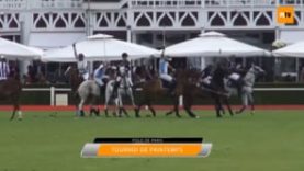 Polo News 40