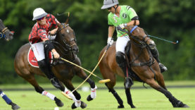 _QCF7225 POLOLINE