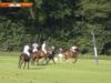 The Barrington Ayre Meadow – Virgo Stone v Huscombe Stud