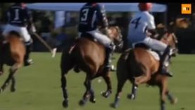 Polo News 49