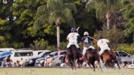 The Polo Show
