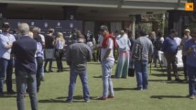 Presentación Ellerstina