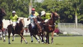 The Polo Show #5