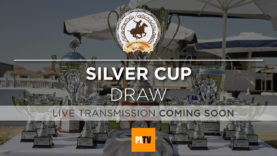 silver-draw