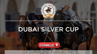 silvercup1