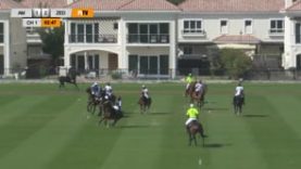 Silver Cup – AM Polo v Zedan