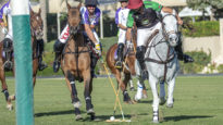 cordero-crespo