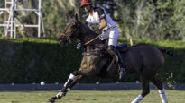 crespo-tacoroto