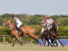 Polo/Rider/Cup/2021