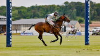 Polo/Rider/Cup/2021hamburgerdoslunas
