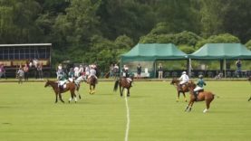 Binfield Heath Charity Polo Day – Coppid Owls vs. Sujan Indian Tigers