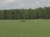 Rixförder High Goal Cup – Hot Conejos vs. Los Nocheros