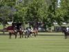 Thai Polo Cup 2021 – Colorado vs. Santos